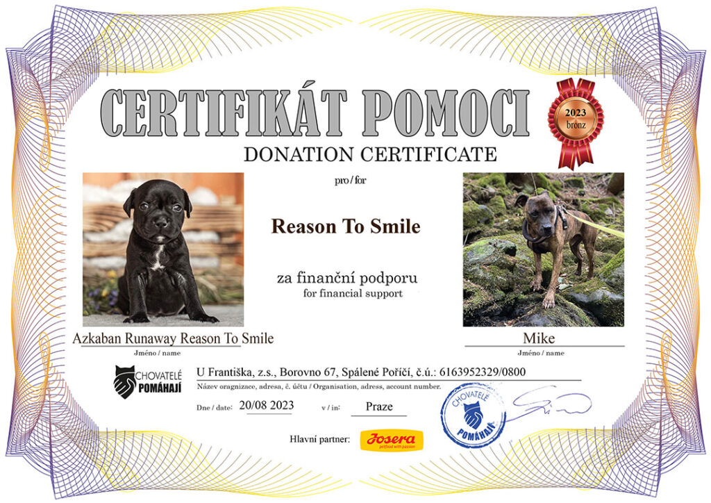 Azkaban Runaway Reason To Smile – Mike