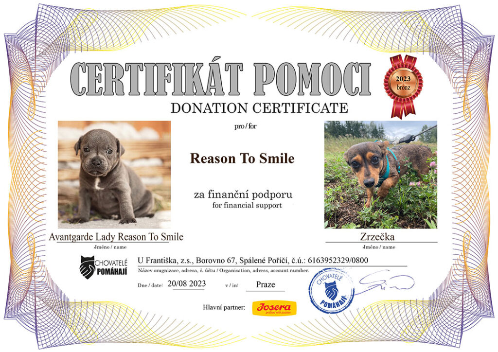 Avantgarde Lady Reason To Smile – Zrzečka