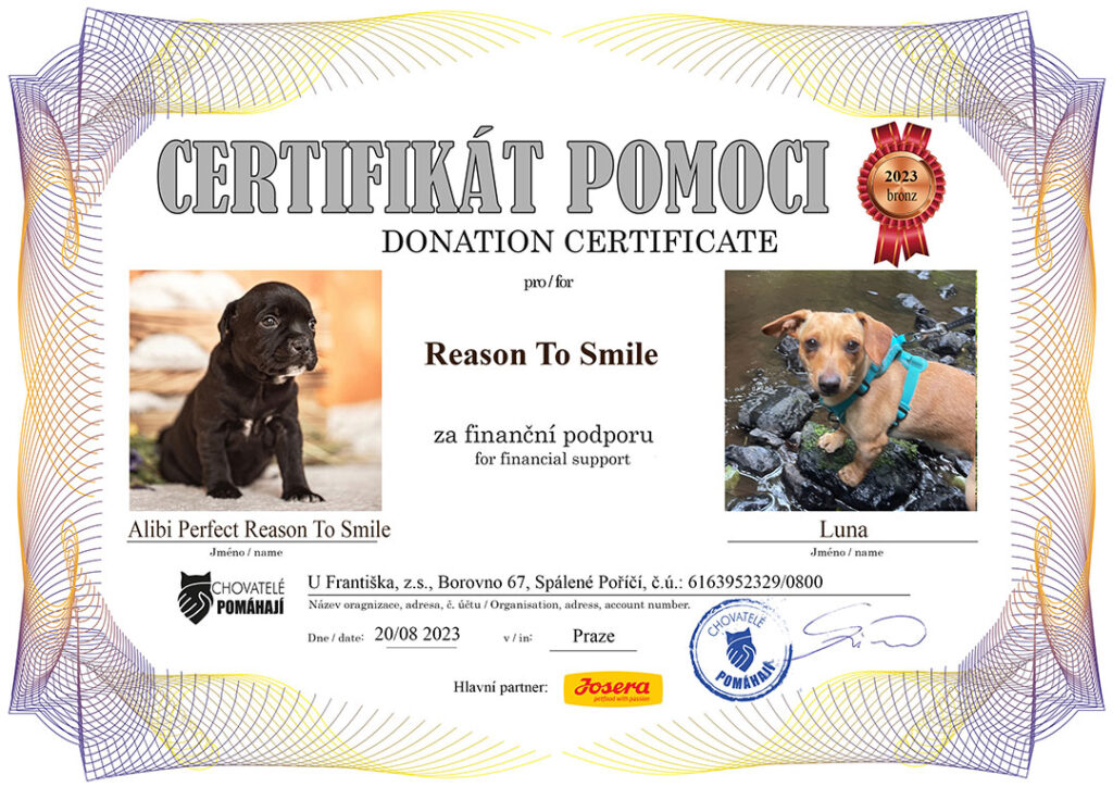 Alibi Perfect Reason To Smile – Luna