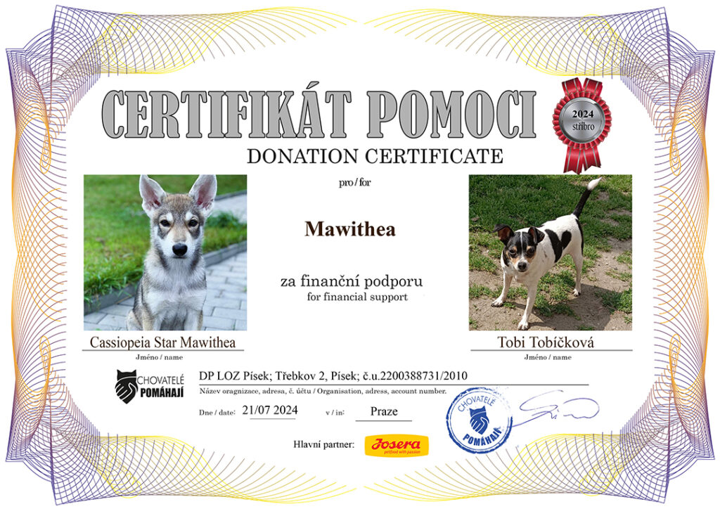 Cassiopeia Star Mawithea – Tobi Tobíčková