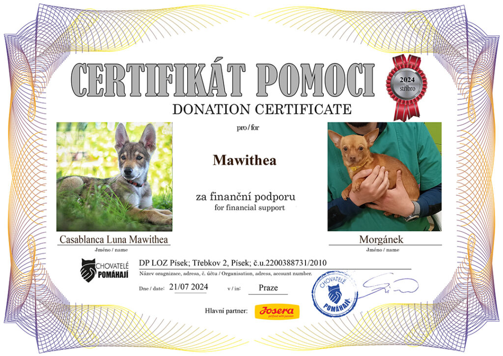 Casablanca Luna Mawithea – Morgánek