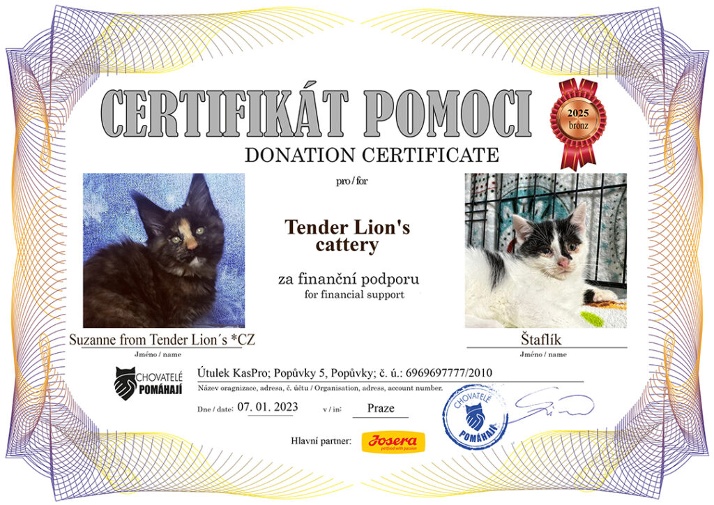 Suzanne – Štaflík