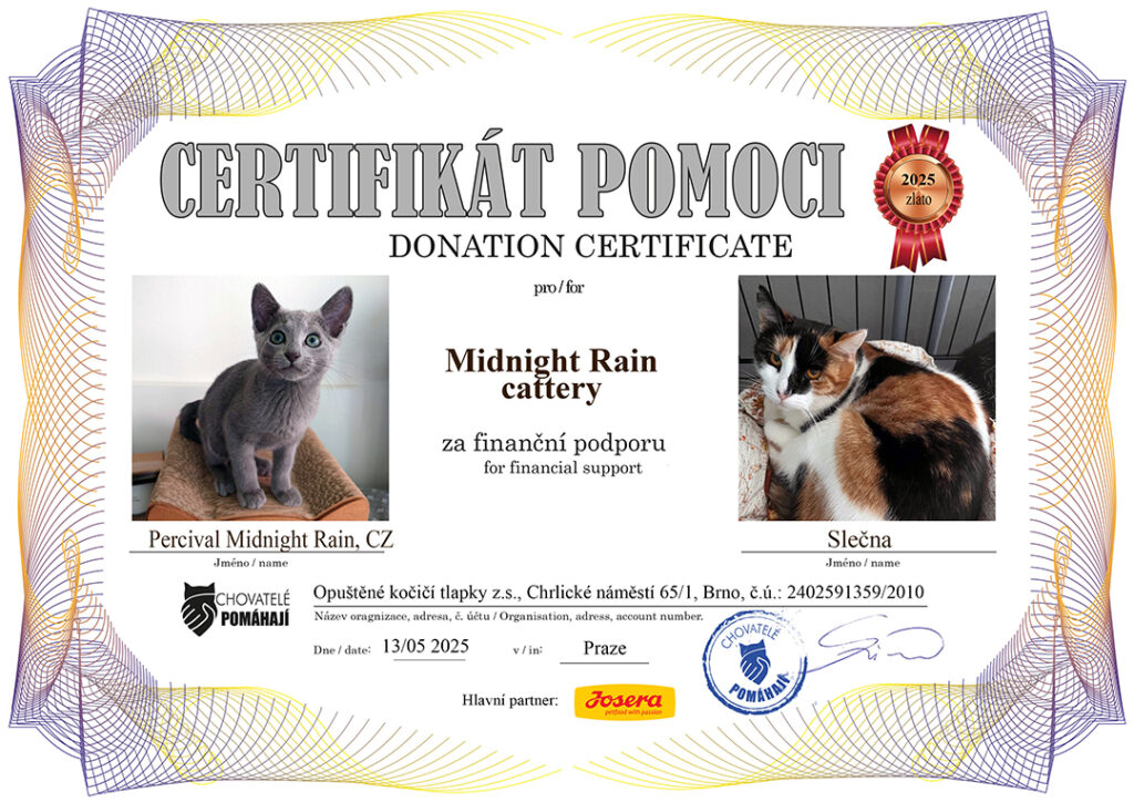 Percival – Slečna