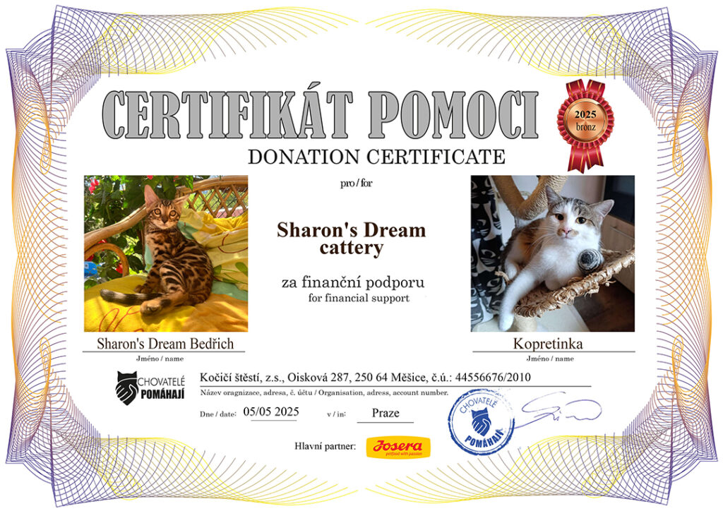 Bedřich – Kopretina