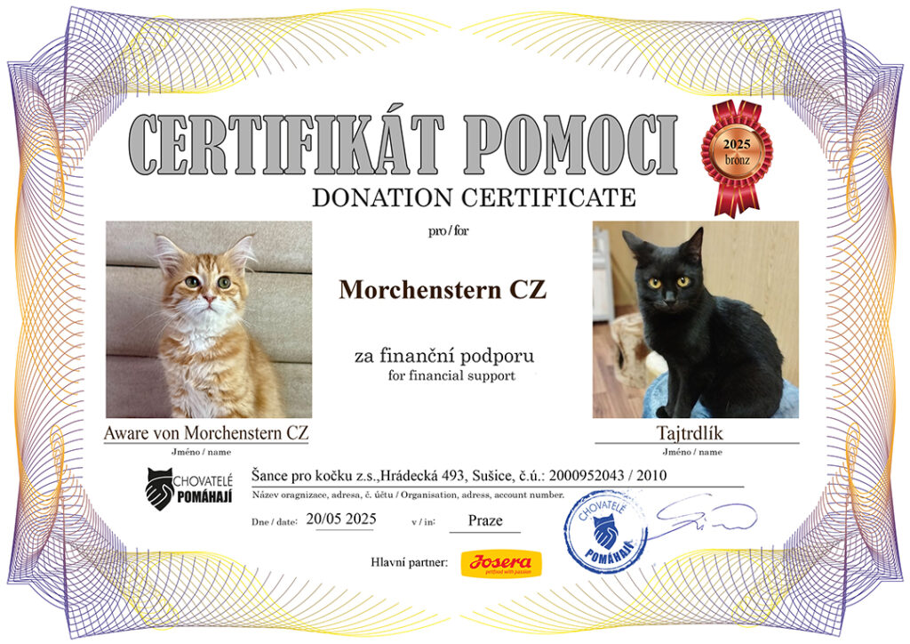 Aware – Tajtrdlík