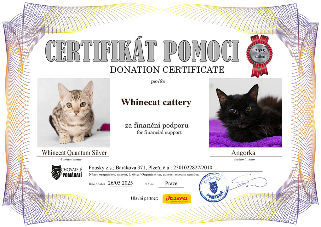 Quantum Silver – Angorka