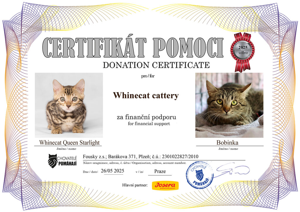 Queen Starlight – Bobinka