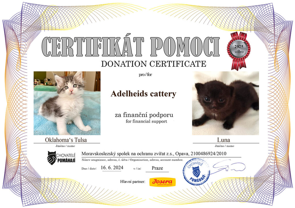 Oklahoma Tulsa – Luna