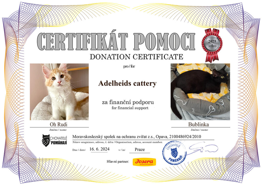 Oh Rudi – Bublinka