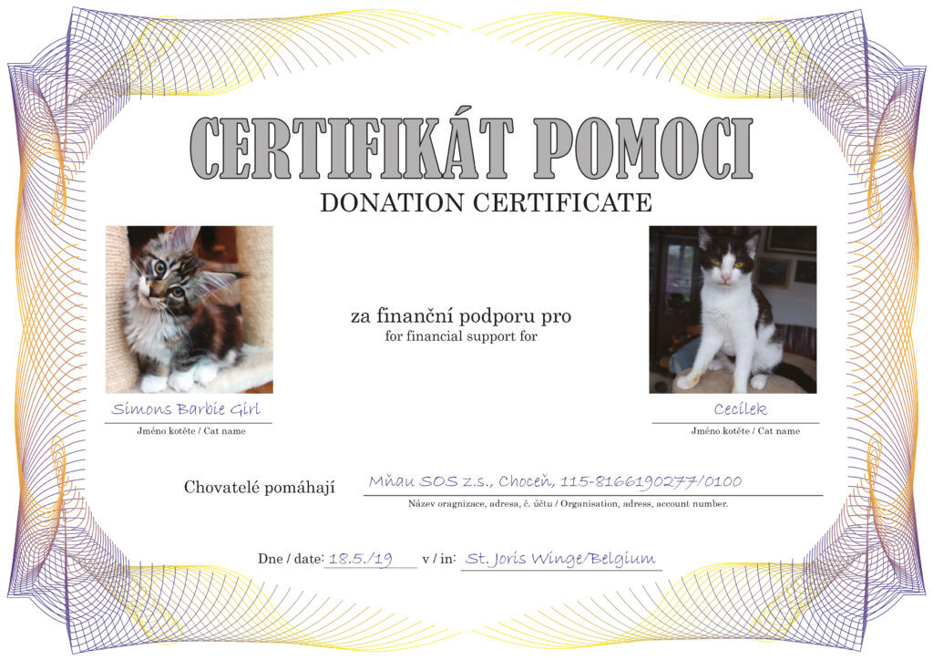 Simons Barbie Girl – Cecilek