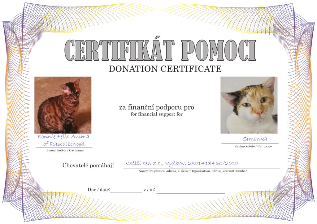 Bonnie Felix Anima of Rascalbengal – Simonka