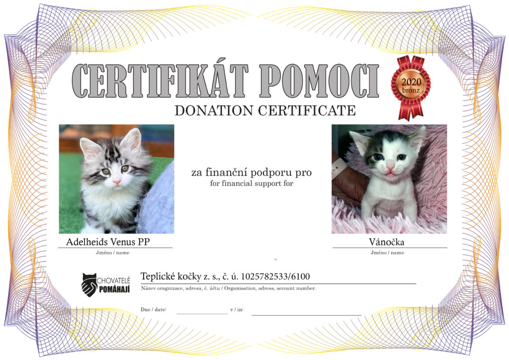 Venus PP – Vánočka