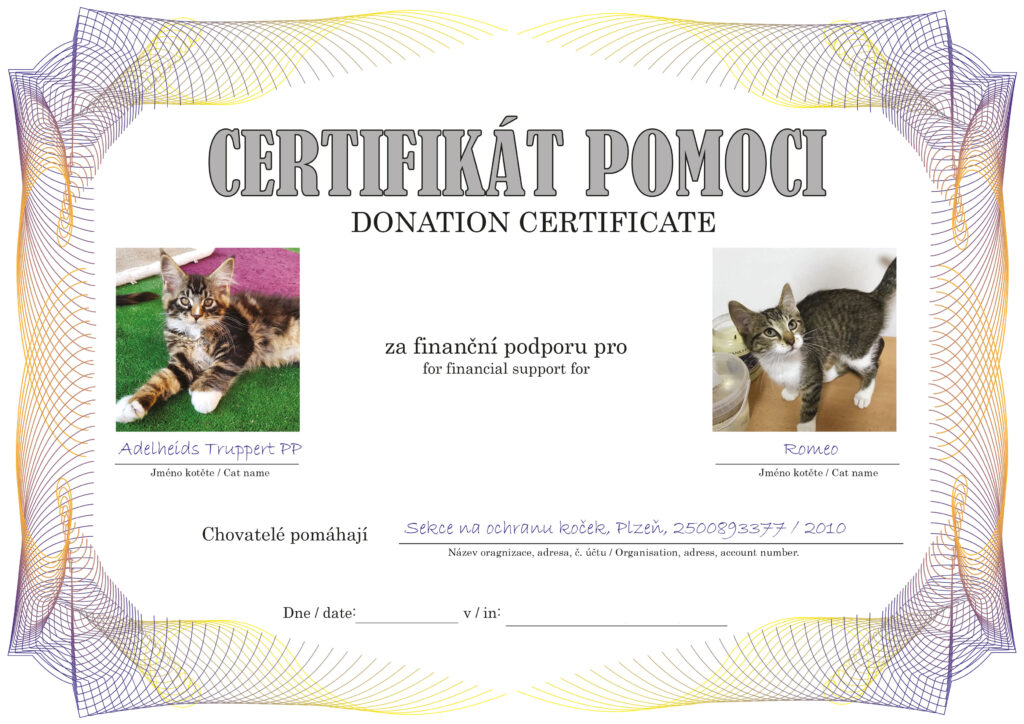 Truppert PP – Romeo