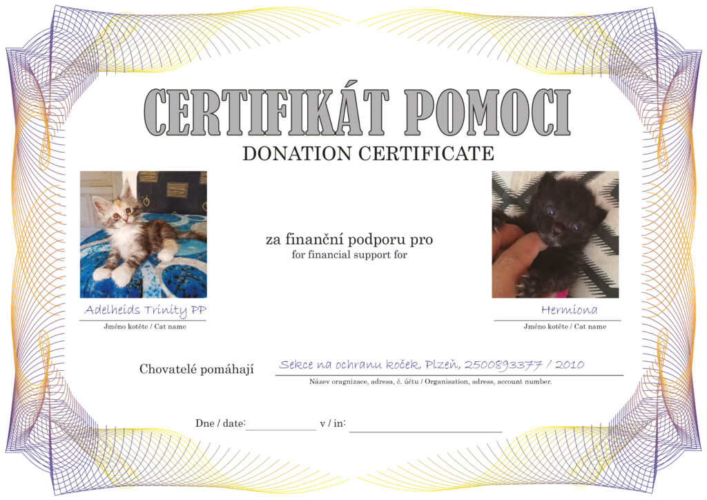 Trinity PP – Hermiona