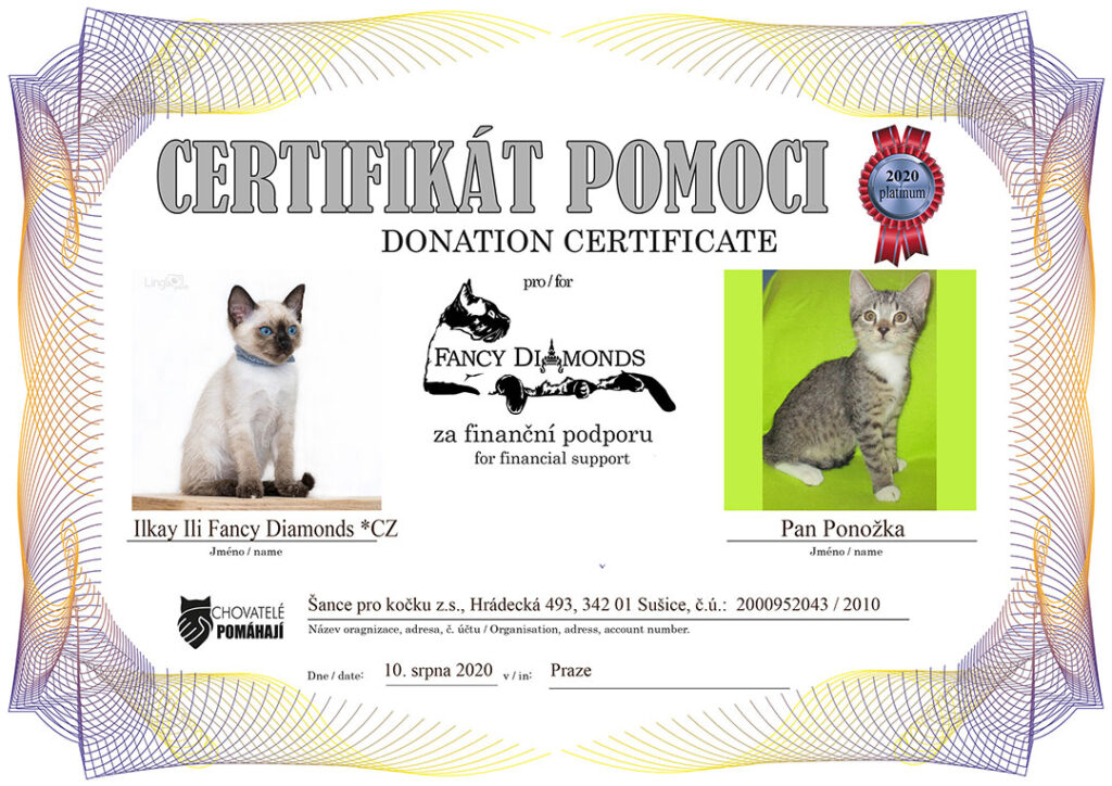 Ilkay Ili Fancy Diamonds *CZ – Pan Ponožka