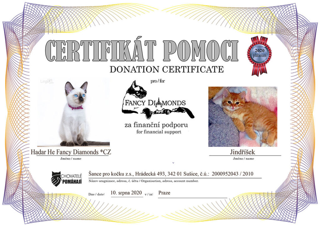 Hadar He Fancy Diamonds *CZ – Jindříšek