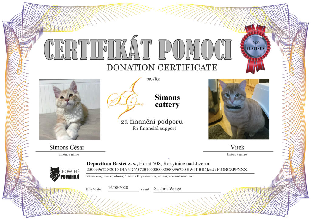 Simons César – Vítek