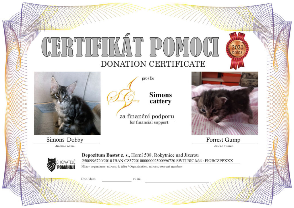 Simons Dobby – Forrest Gump