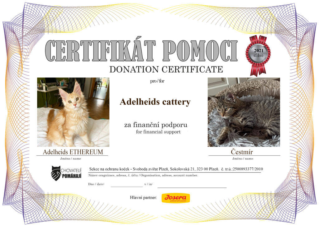 Ethereum – Čestmír