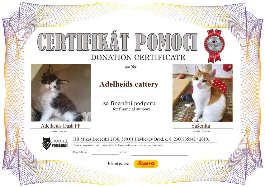 Dash PP – Sašenka