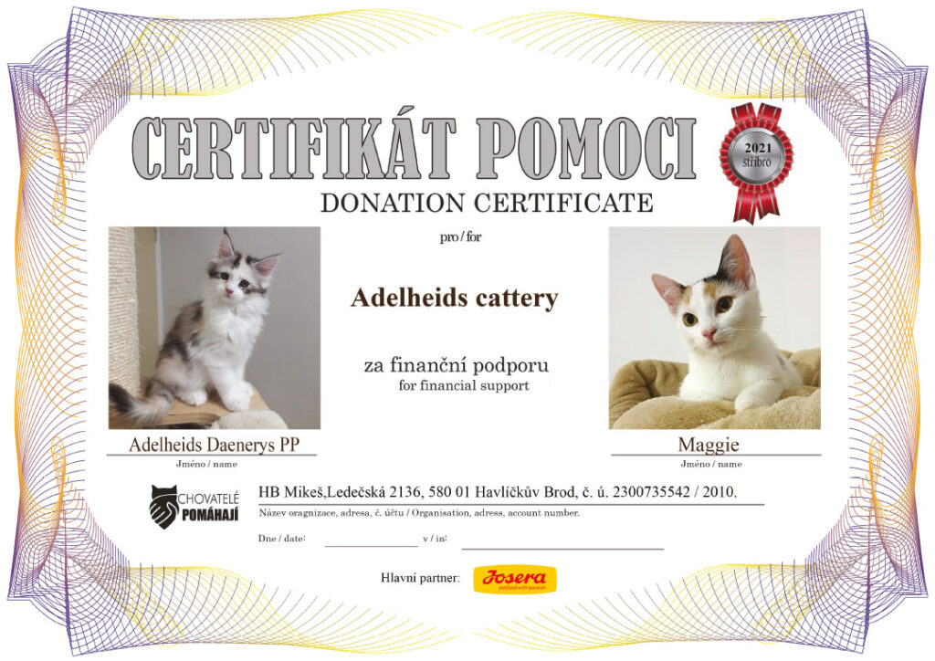 Daenerys PP – Maggie