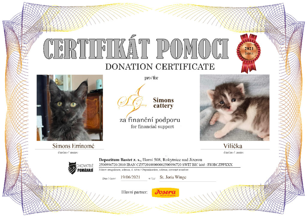 Simons Errionomé – Vilička