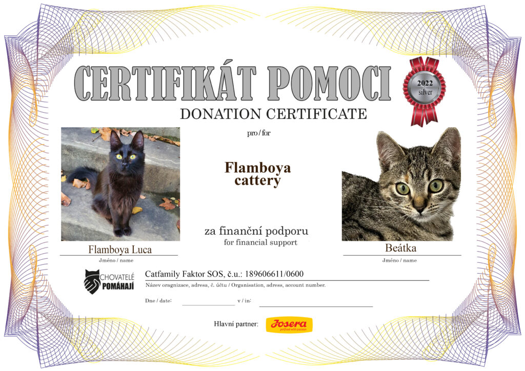 Flamboya Luca – Beátka