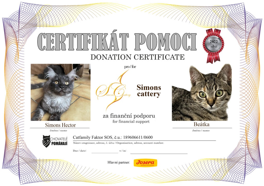 Simons Hector – Beátka