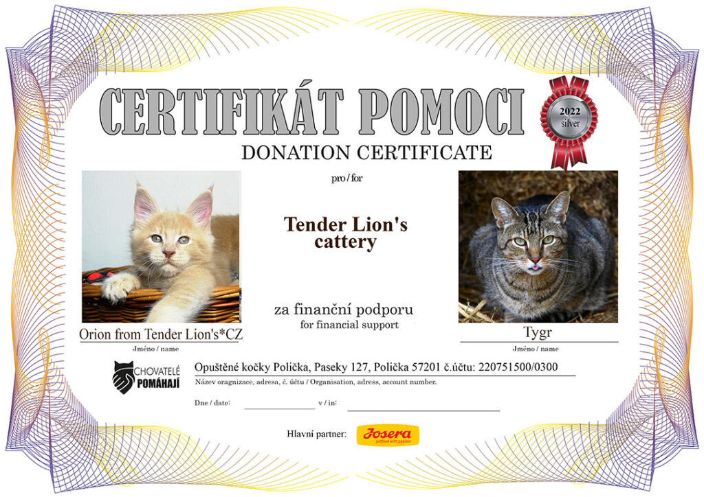 Orion from Tender Lion’s*CZ – Tygr