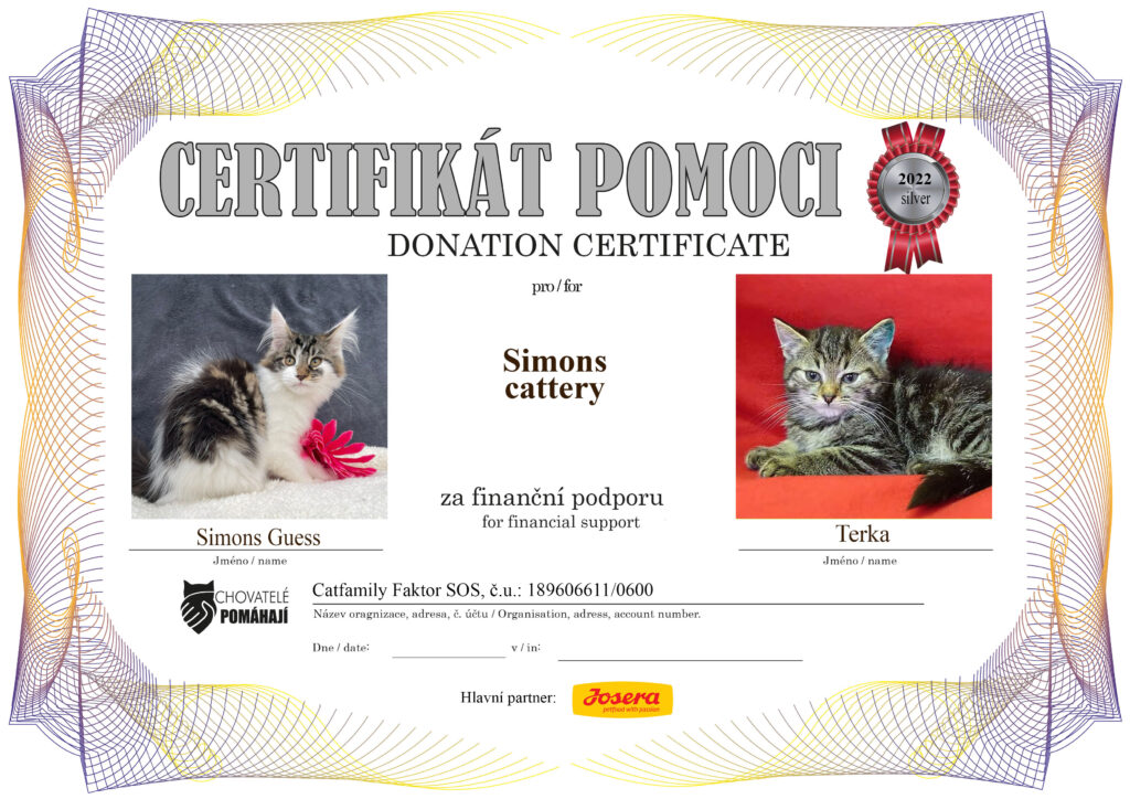 Simons Guess – Terka