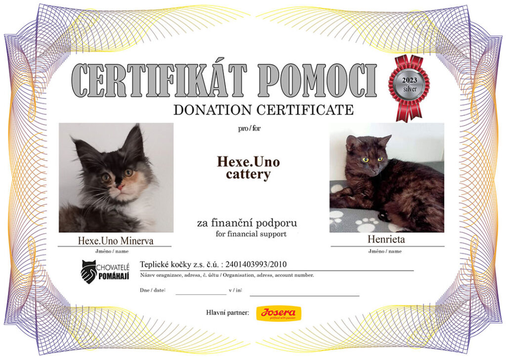 Hexe.Uno Minerva – Henrieta