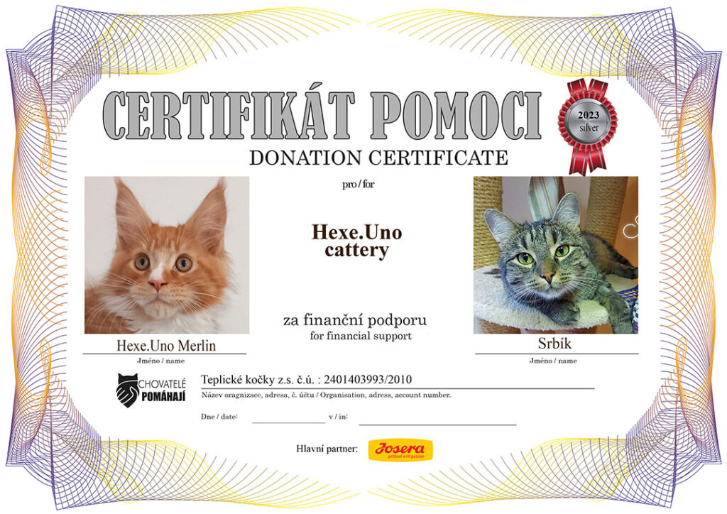 Hexe.Uno Merlin – Srbík