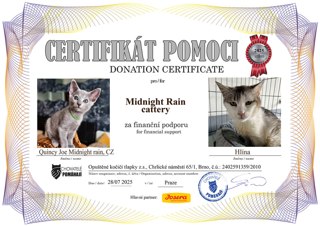 Quincy Joe – Hlína