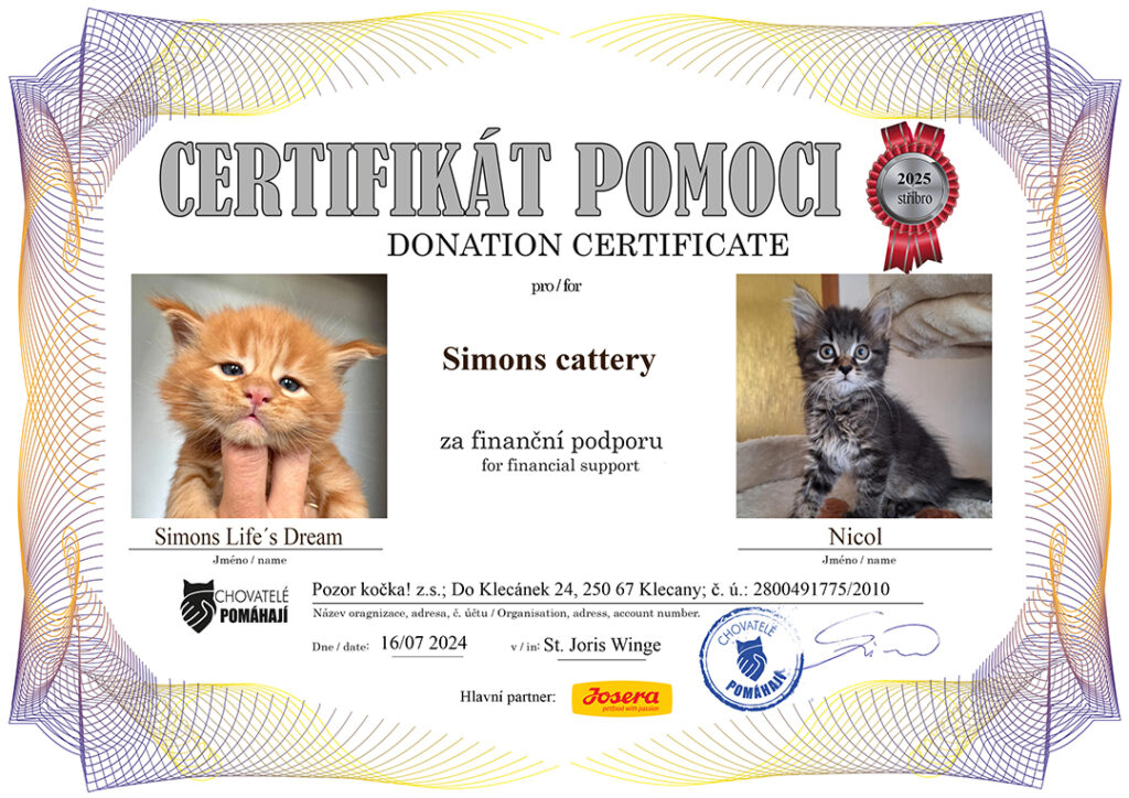 Life´s Dream – Nicol