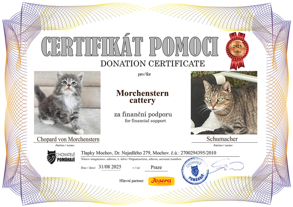 Chopard – Schumacher