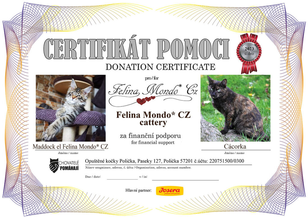 Maddock – Cácorka