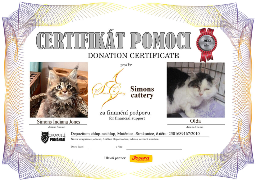 Indiana Jones – Olda