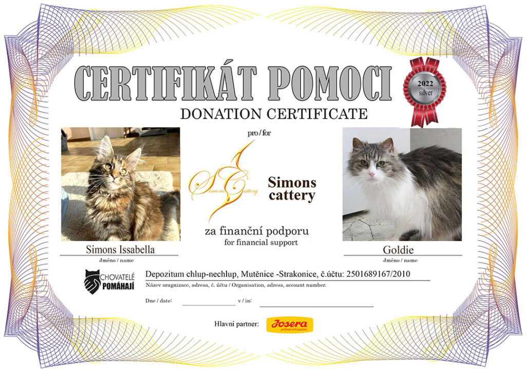 Issabella – Goldie