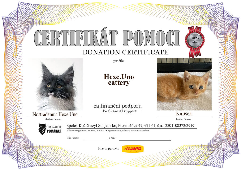 Nostradamus – Kulíšek