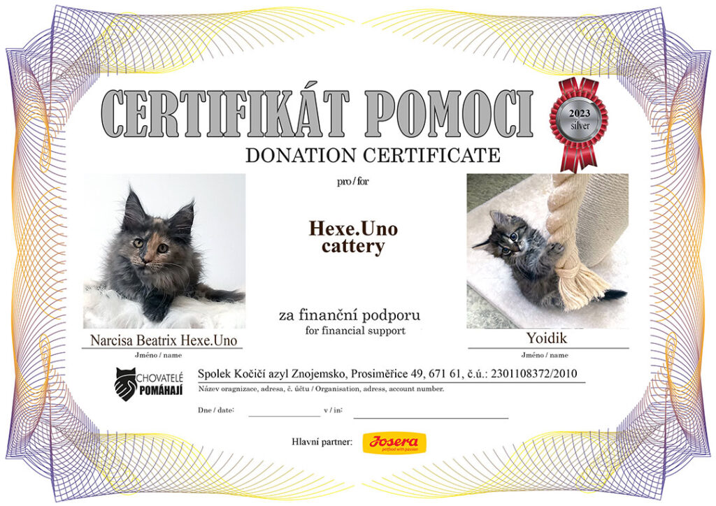 Narcisa Beatrix – Yoidik