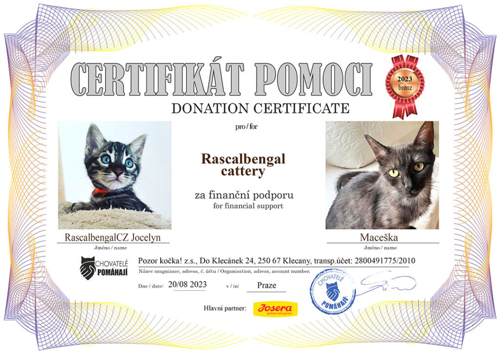 Jocelyn – Maceška