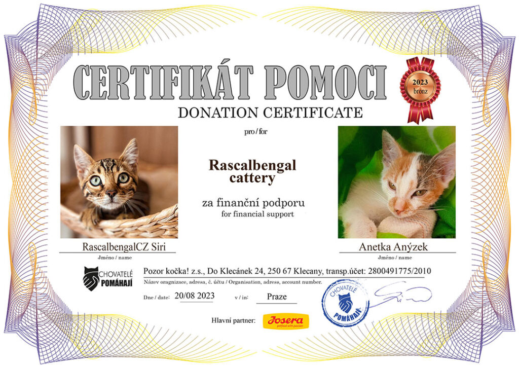 Siri – Anetka Anýzek