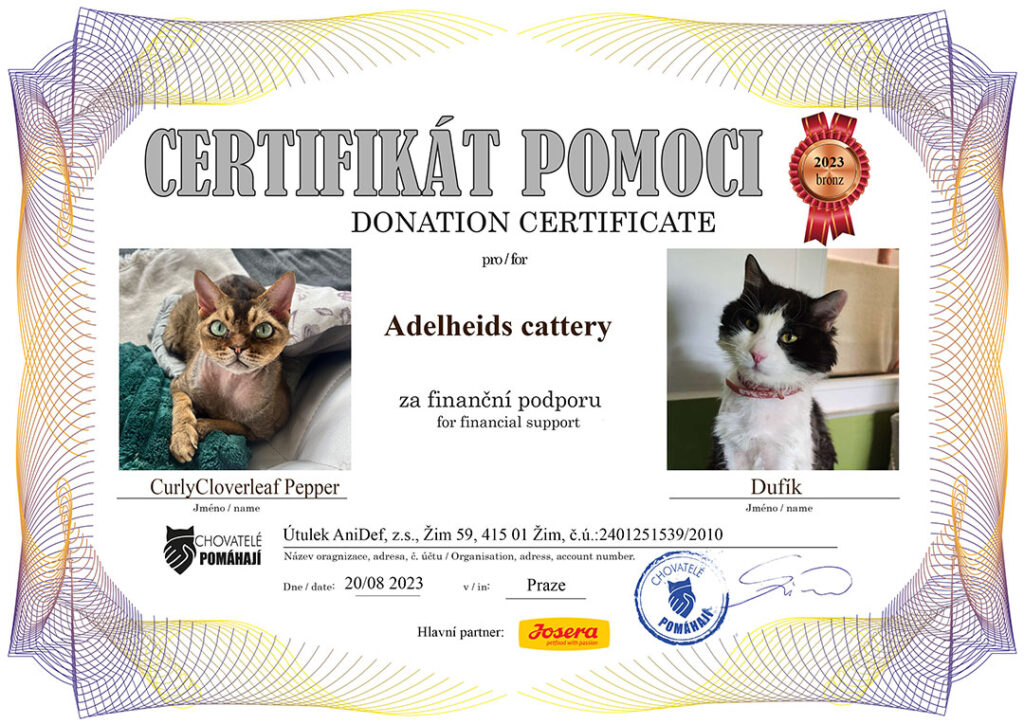 Curly Cloverleaf Pepper – Dubík