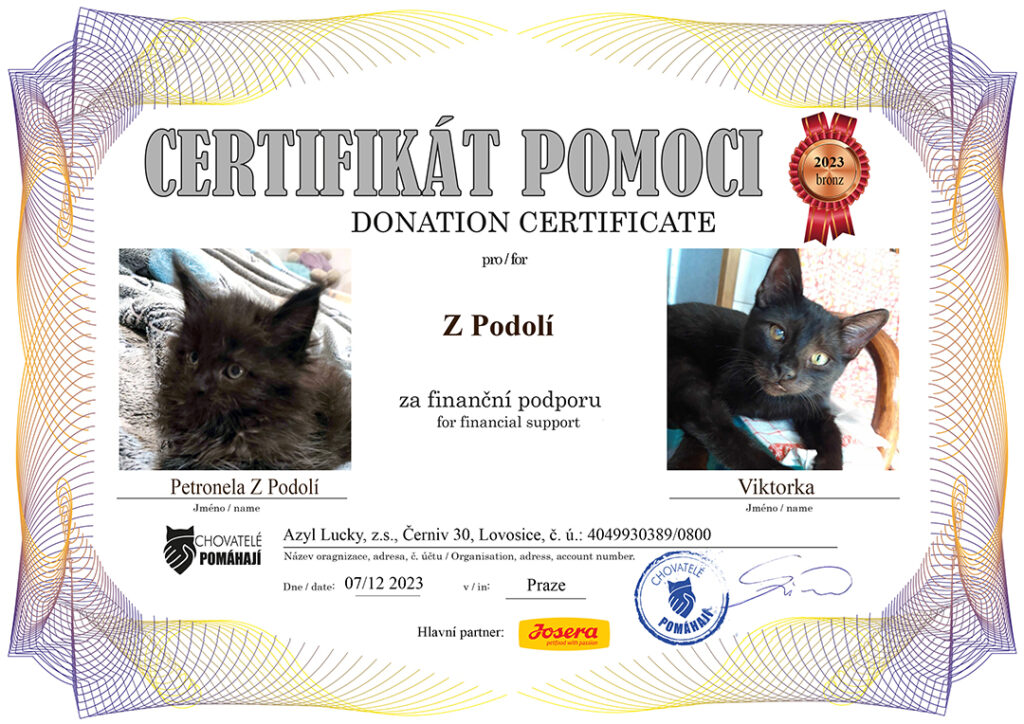 Petronela – Viktorka