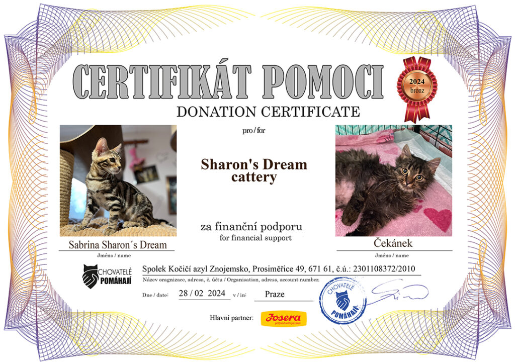 Sabrina – Čekánek