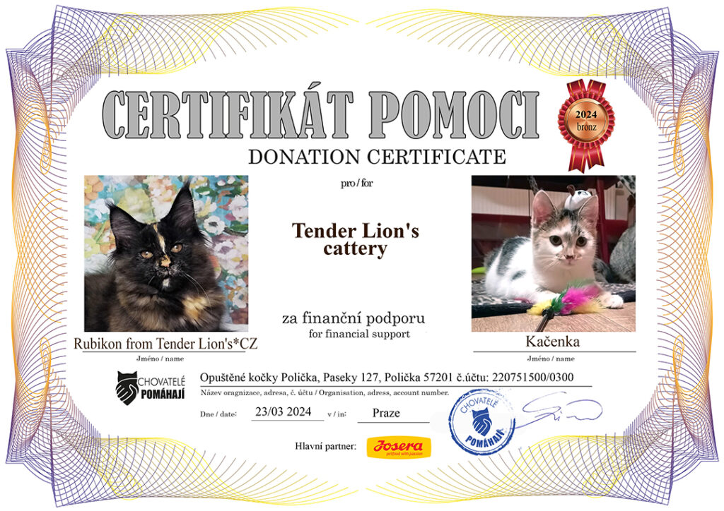 Rubikon – Kačenka