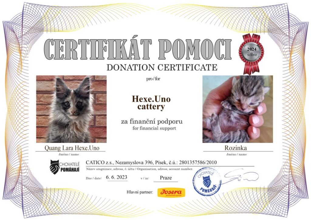 Quang Lara – Rozinka