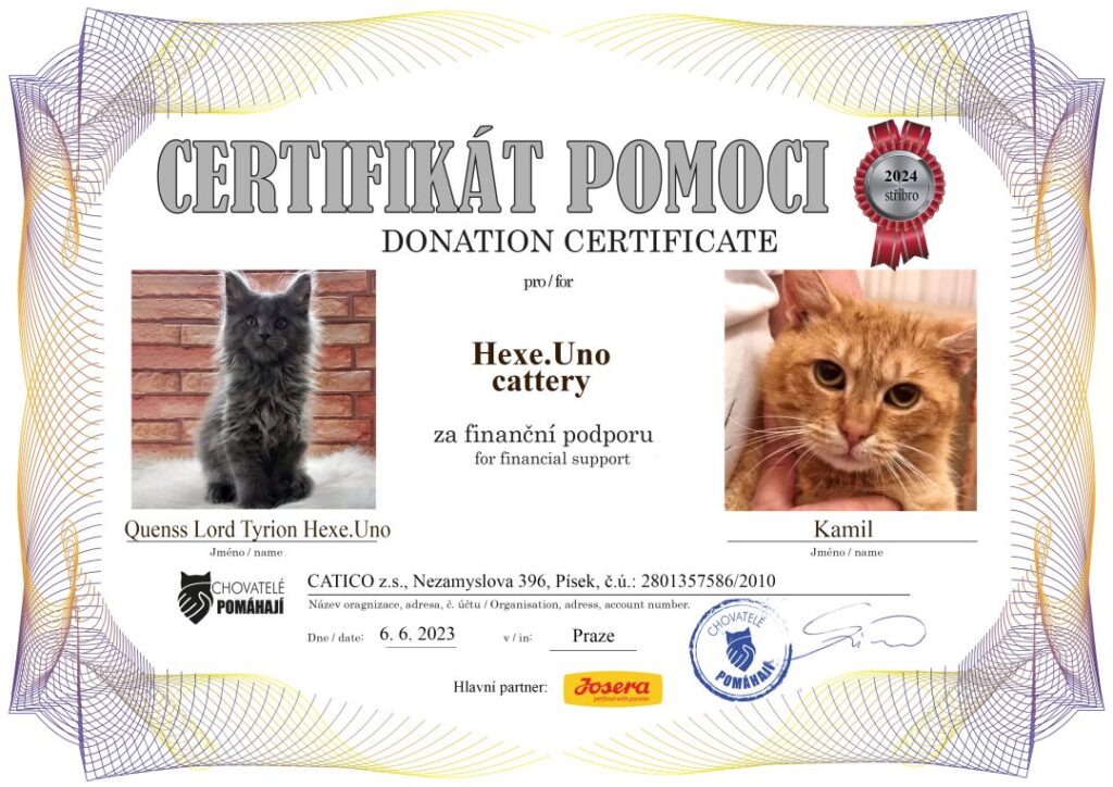 Quenss Lord Tyrion – Kamil