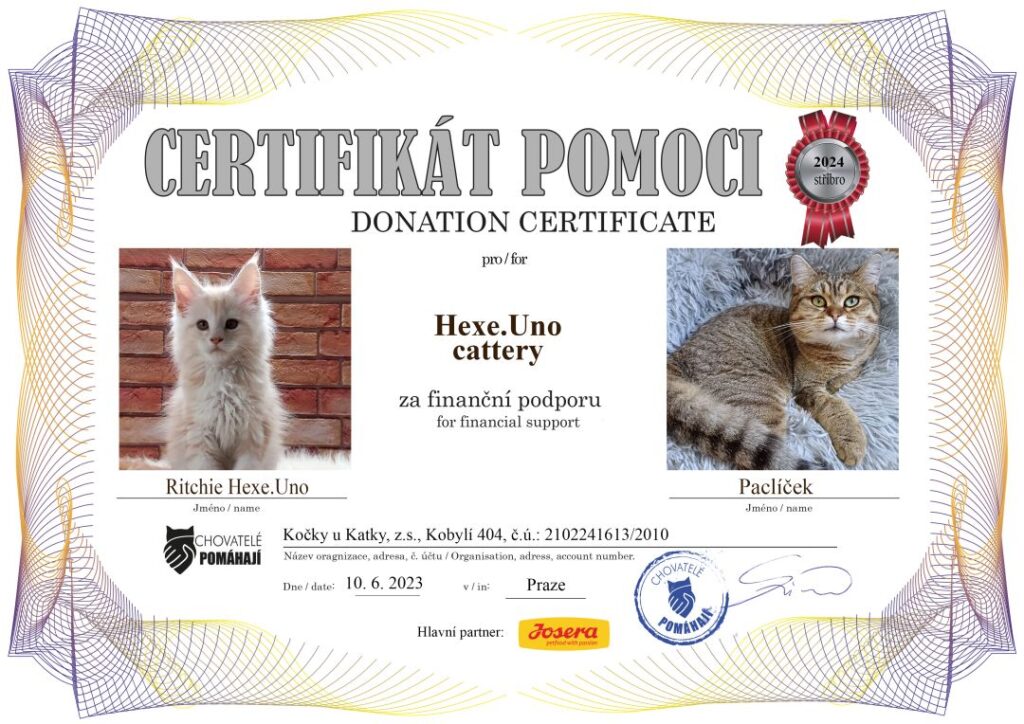 Ritchie – Paclíček