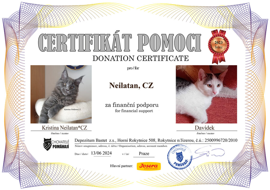 Kristina – Davídek